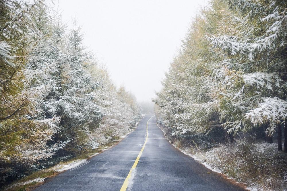 src=http___pic.cyol.com_img_20211011_img_96010adf35d907d917bbc33834e0ef35c6ae.jpeg&refer=http___pic.cyol src=http___pic.cyol.com_img_20211011_img_96010adf35d907d917bbc33834e0ef35c6ae.jpeg&refer=http___pic.cyol